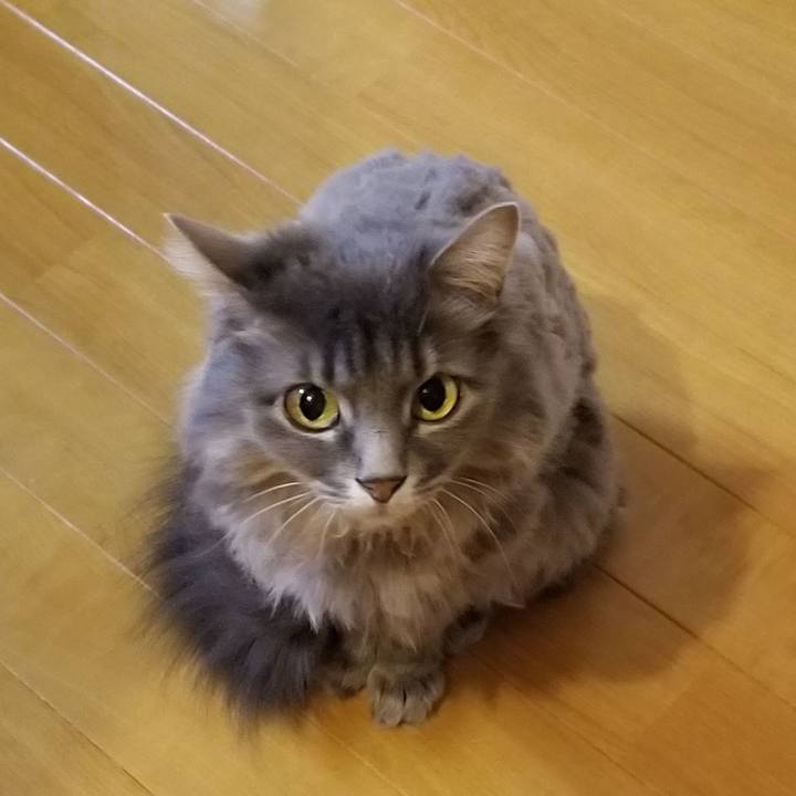 02fa1e0f 65bb 46fc b800 1057299f6250 1560729049566