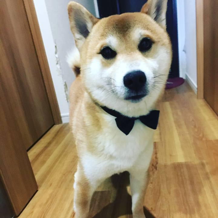 02fa364c 075e 4ec8 bf3b e2dd0e749c40 1524918813357