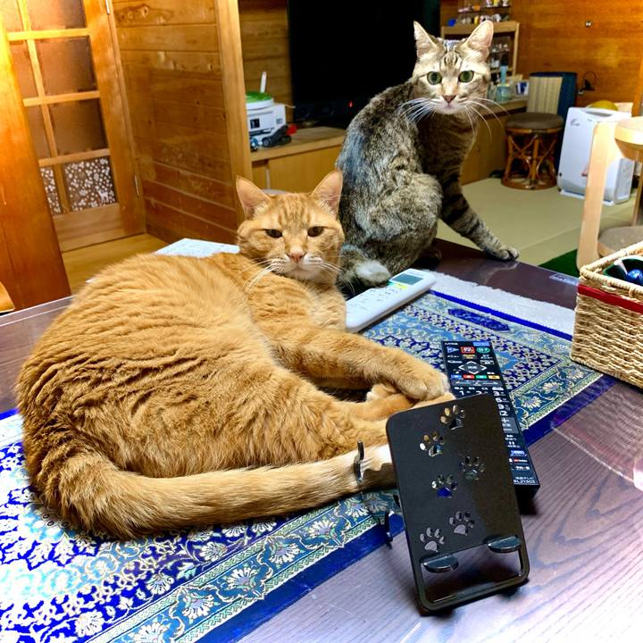 02fa4eda b971 4fc7 96fd 5601ebb6c905 1639049977324