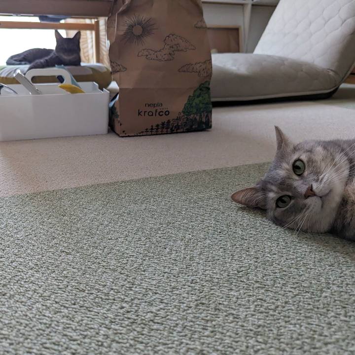 02fa9854 9614 4dd1 9ba1 1eb146ba098f 1718867215880