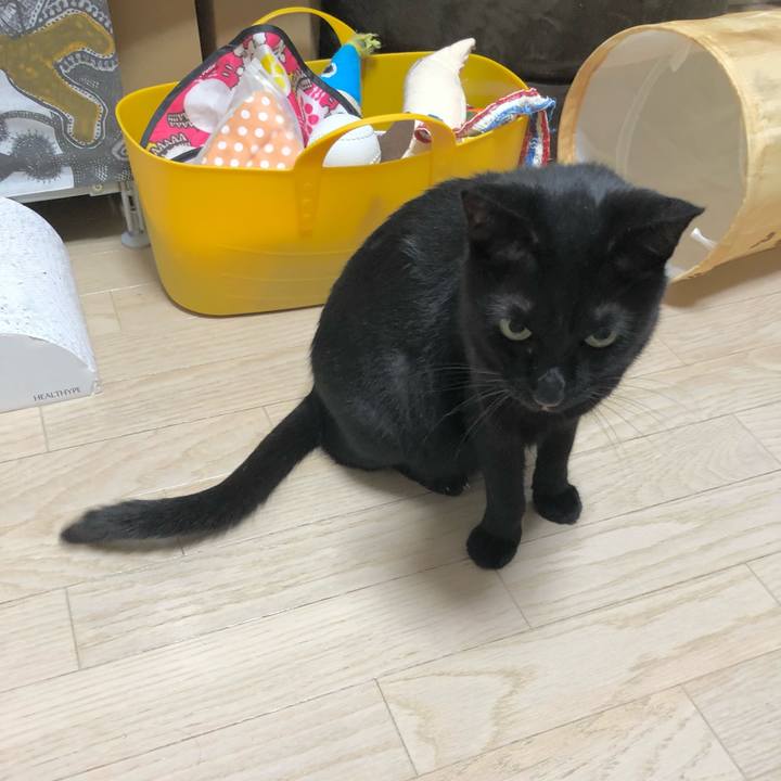 02faaacc 3591 4e1d a724 7308d8c84fe7 1635086994246