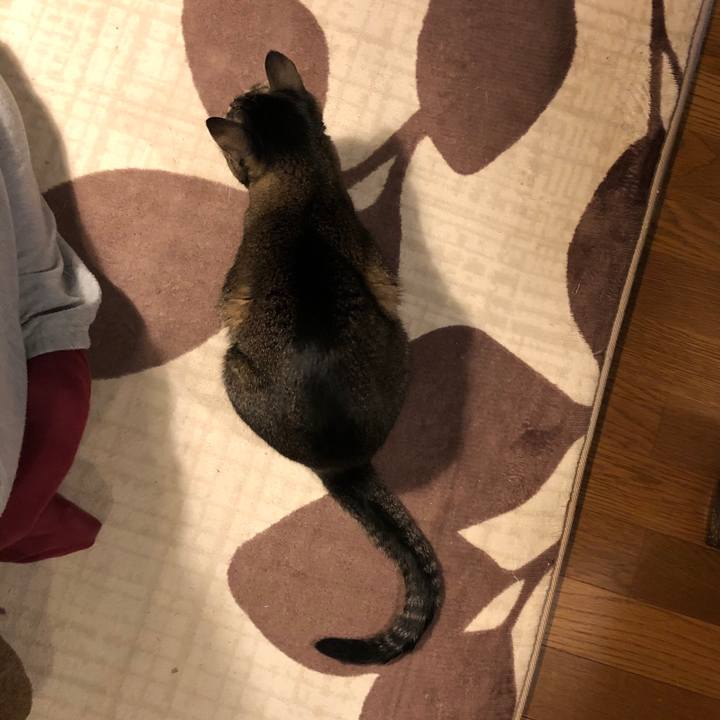 02fb9c15 d3b2 4f0e 827e e16f4eba14e7 1618789161104