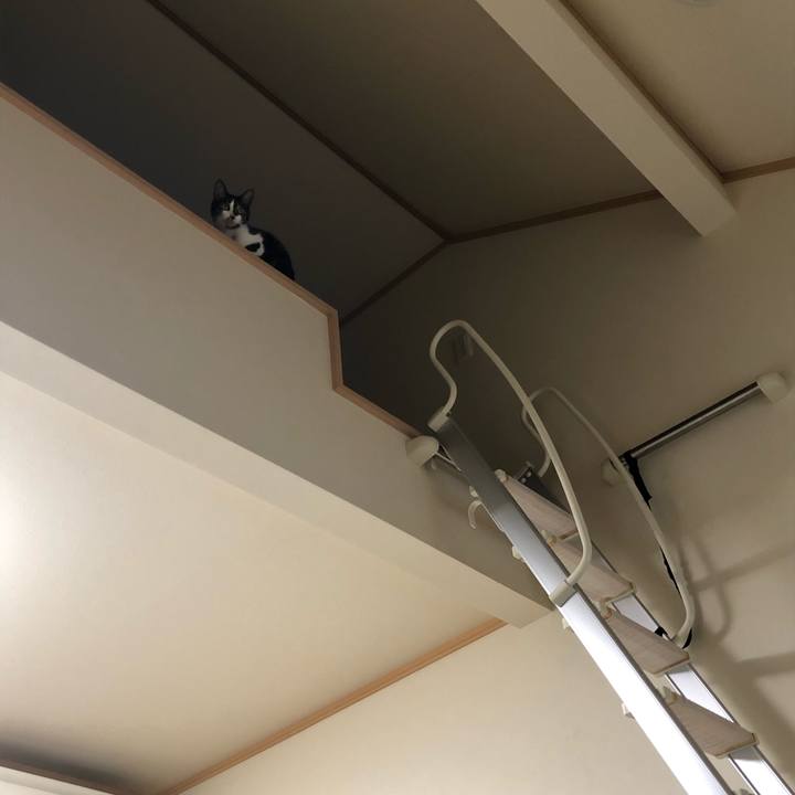 02fba9a4 81eb 4930 96c7 4036a49c1235 1557519371037