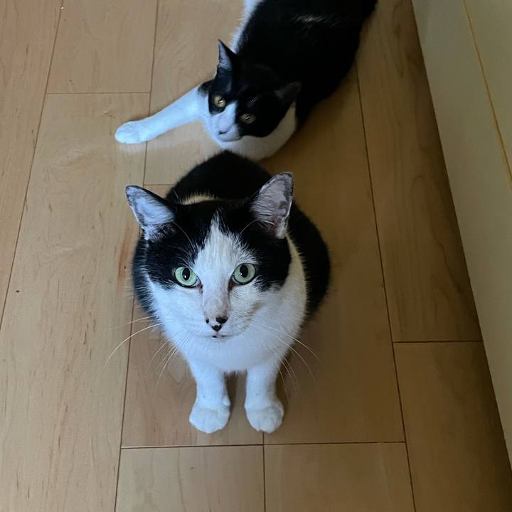 02fbcad9 cc11 40ca bd80 921cad77074e 1690066257443