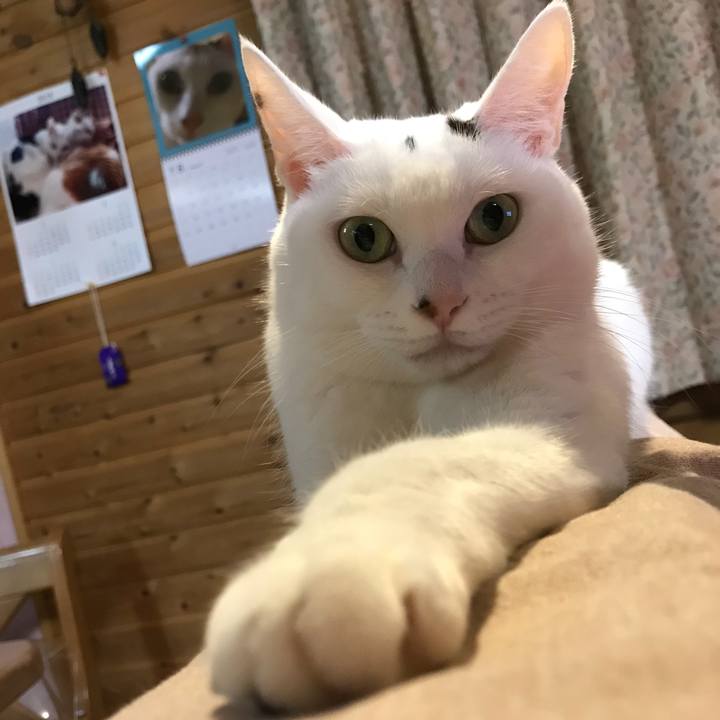 02fc18d5 20a9 4bcf 8517 3887f8864da4 1535193117400