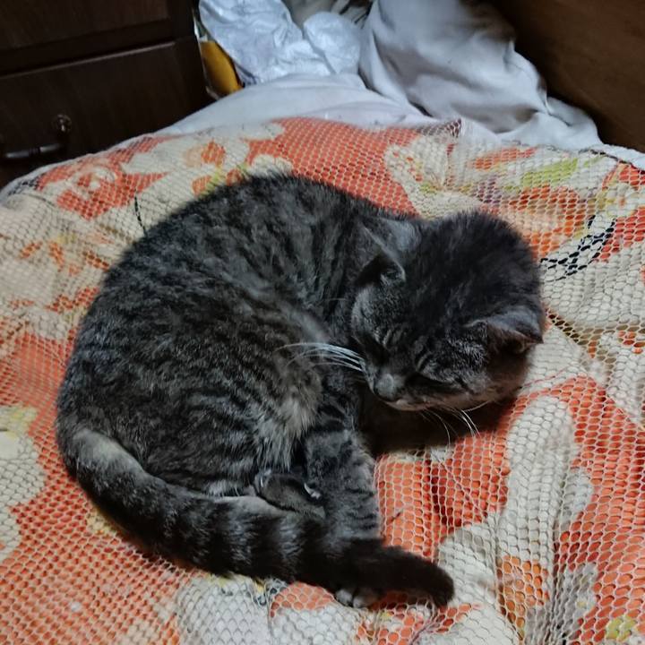 02fc2fa7 4d72 4f6c ab8f 1c5de7e5940f 1571576451332