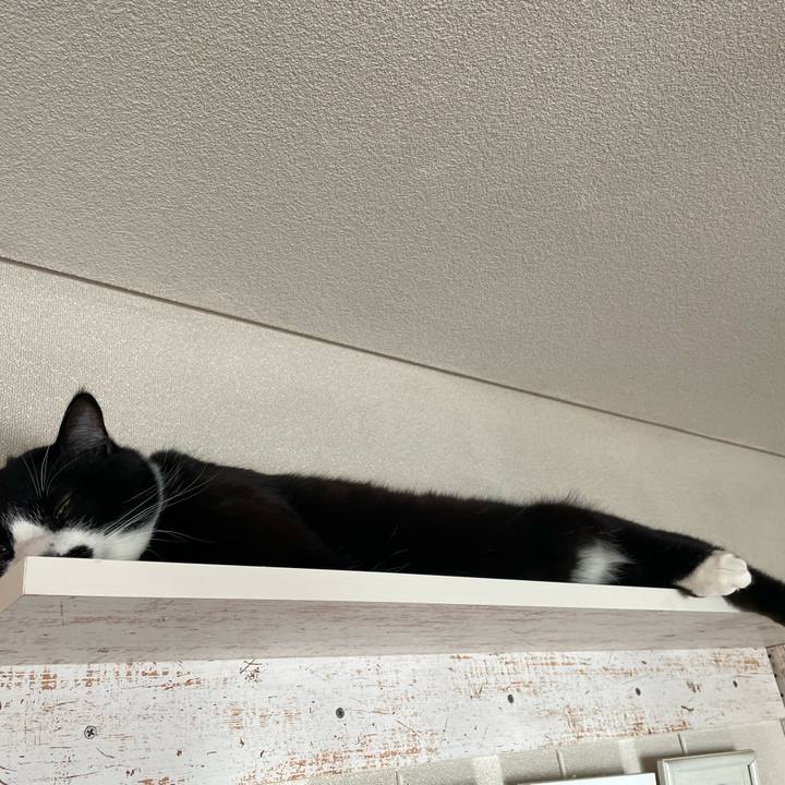 02fc7126 251f 4a14 98d8 8f05b31f9d72 1651492546258