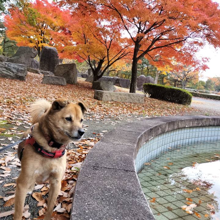 02fcb605 d3bf 48a4 841b c6b634fbe1bf 1731827825804