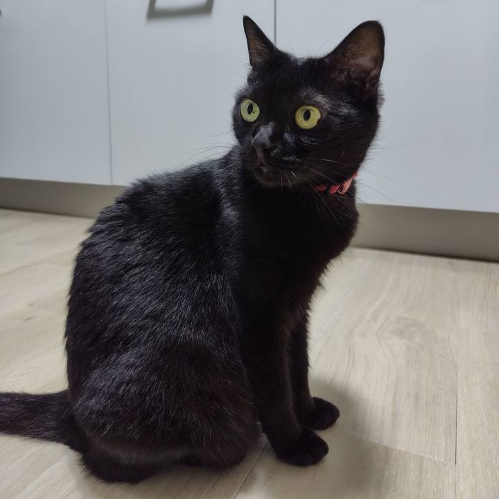 02fcb748 07d6 4667 9f68 84e98bd9085c 1720349598653