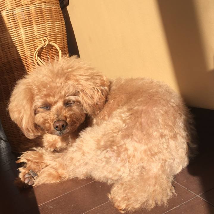 02fcdd09 dfff 43c5 84c1 06f882e30c55 1515626863647