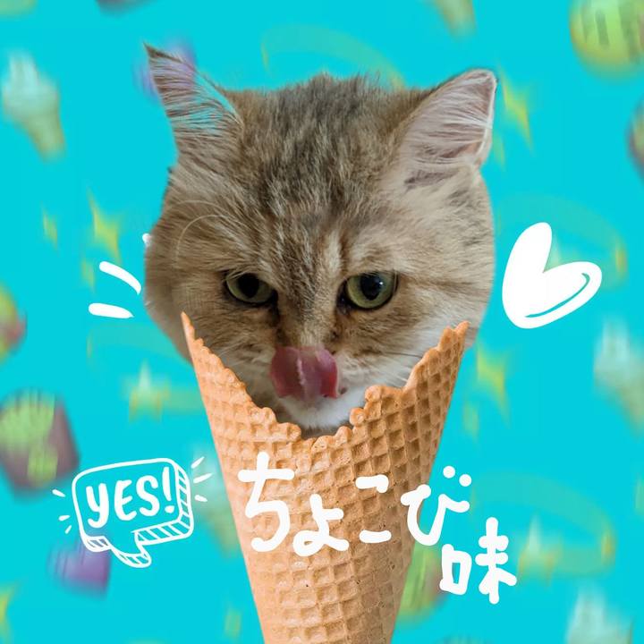 02fd0cc8 c1b9 459c a6a7 55d7ceb9fa32 1661655021887