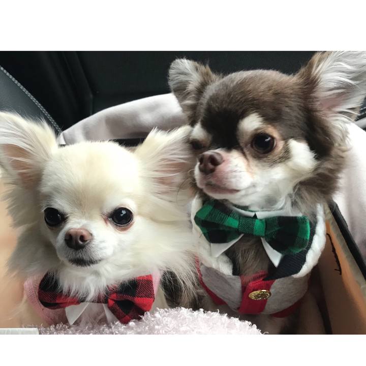 02fd1019 f047 4ba4 9e46 ac36b417eec7 1511351827255