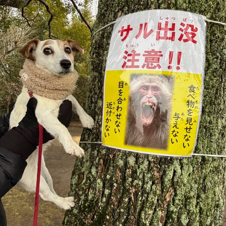 02fd2436 8467 422a 84e8 f2e5125d9c11 1770815809826