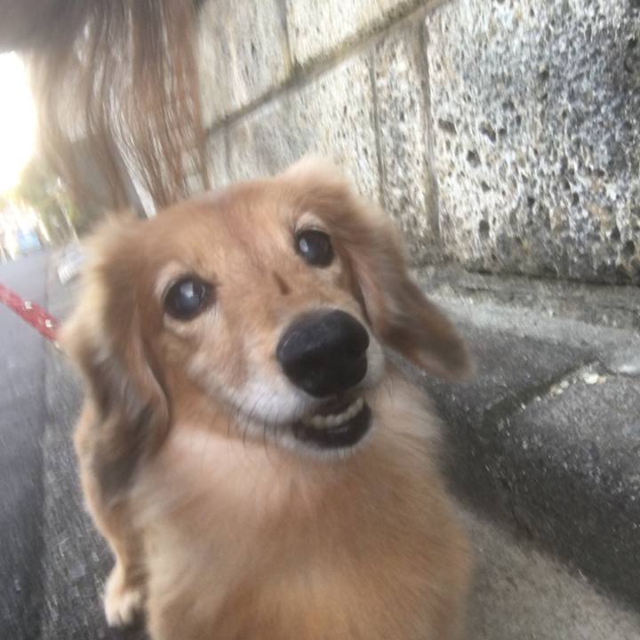 02fd4b0a 85d8 4666 b3de 8b6066bc5412 1633610706431