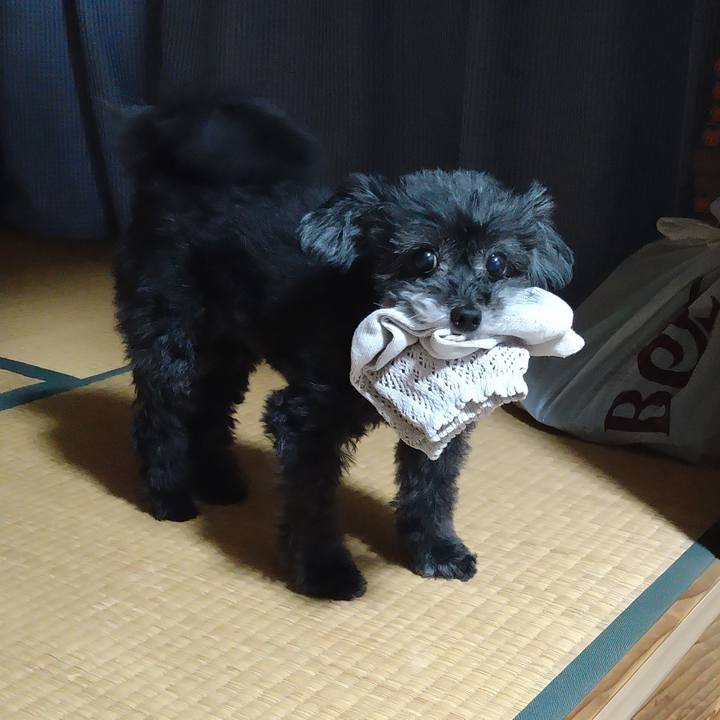 02fd74f8 7599 4fd2 9ac9 8f2d5f84df09 1690118633582