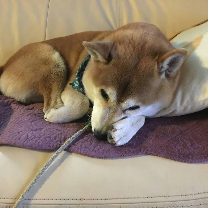 02fdc7ee d925 464b a89a acd0e60215a8 1508645981138