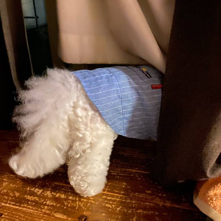 02fea257 1e55 4e65 b8f3 2f41698821fe 1686570871002