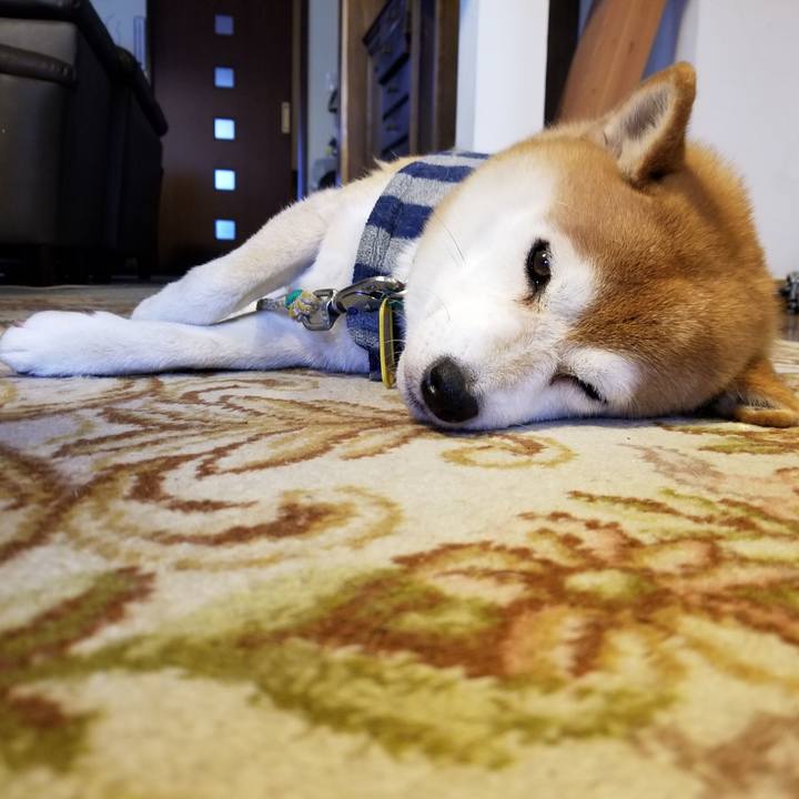 02febfb4 5d21 4e95 8047 77abb8152307 1578024050521