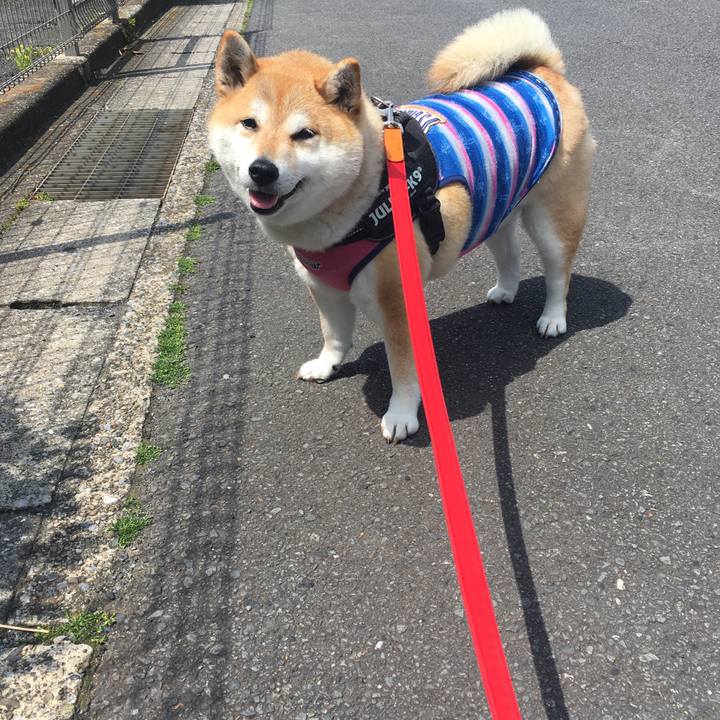 02ff0b6d 4d91 4943 9810 58cbbd3ef550 1588302535766