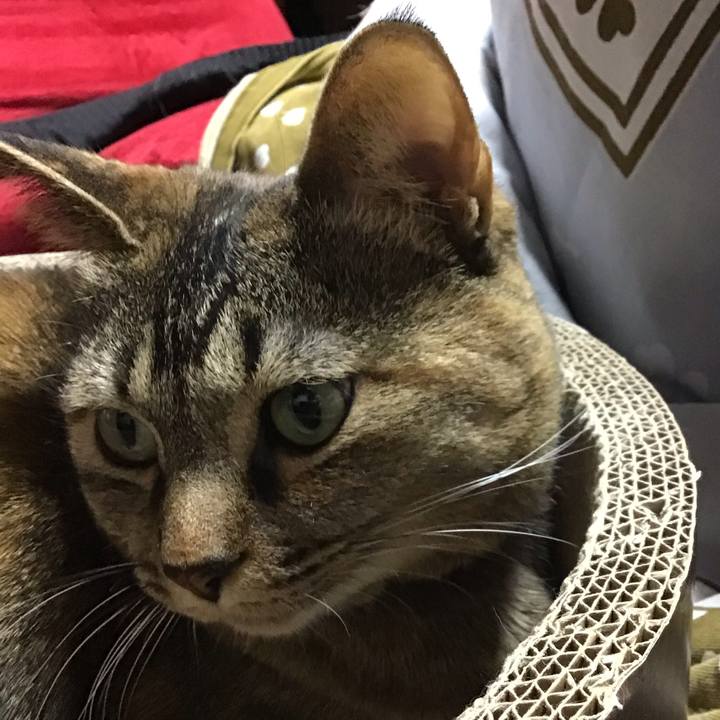 02ff0e70 4bb9 44ca 952d d9938411500c 1709111346998