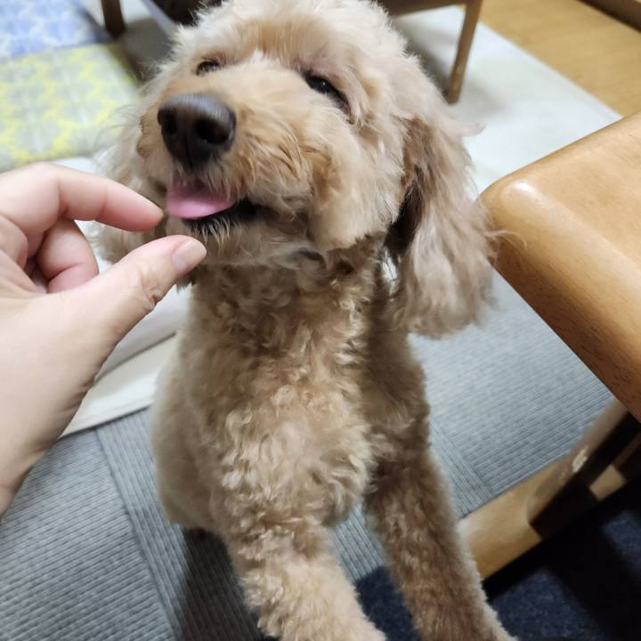 02ff31a6 c3e3 4625 aeab c7c239d14d4d 1768346416726