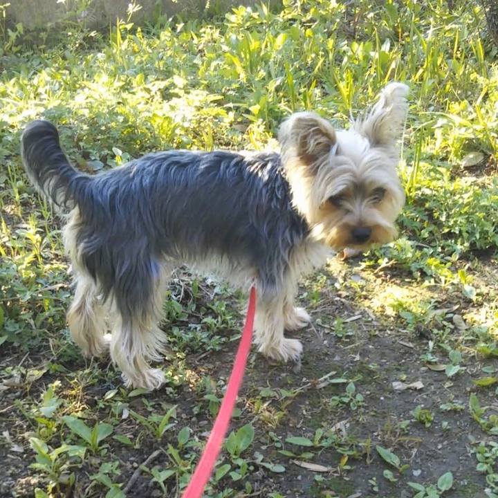 02ff3e3e 6105 489d 82b8 0ac7268882f0 1557657136167