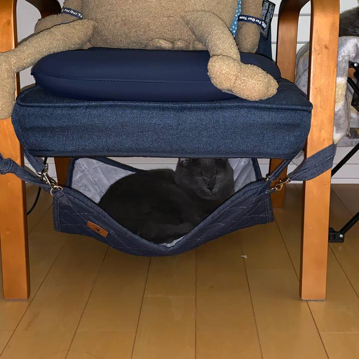 02ff5b30 b3bf 4b70 aefd 4a0f70439139 1669072325870