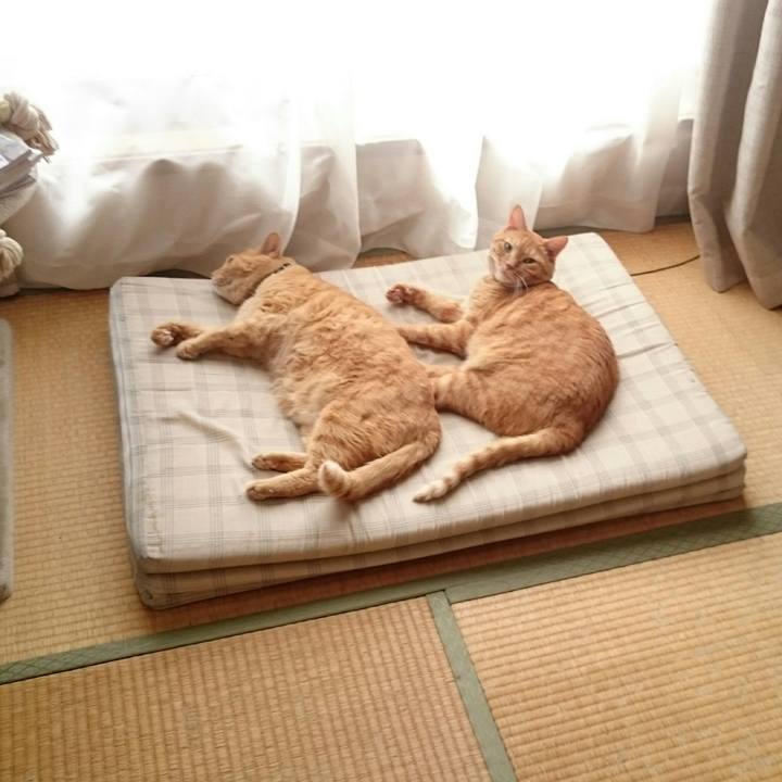 02ff5f40 c285 49d5 bd4f af71321fa615 1536296806397