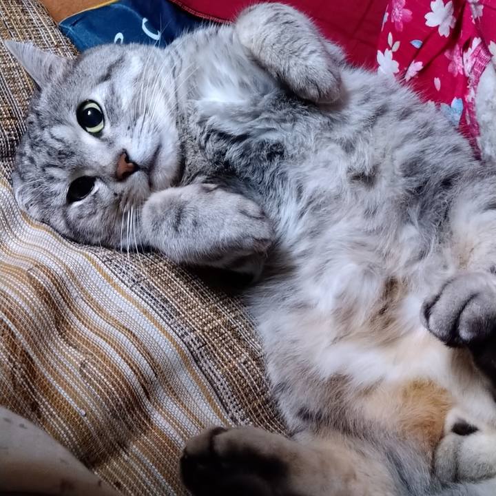 02ff85c7 0e9b 4c11 8586 642fc22db629 1677161046886