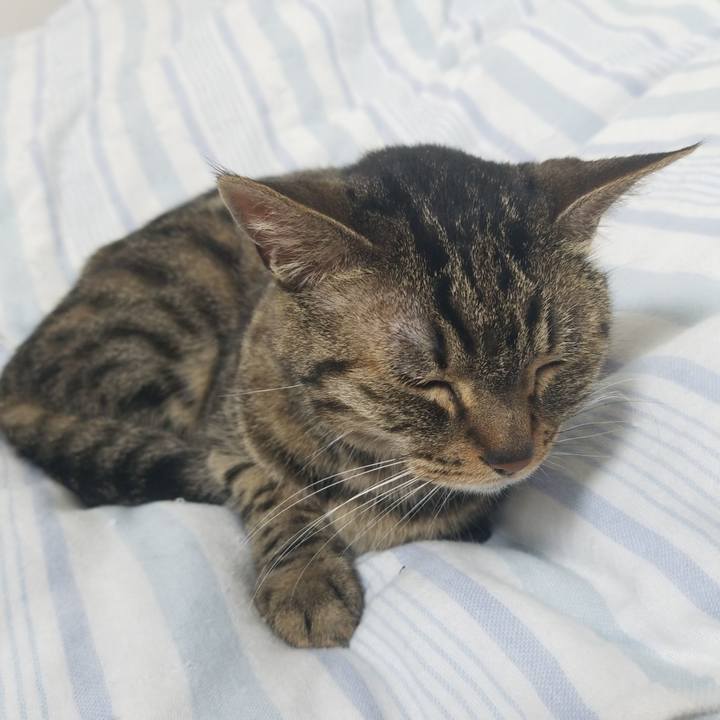 02ffc0ec fa9e 4579 be32 fe5f9843d832 1592256322906