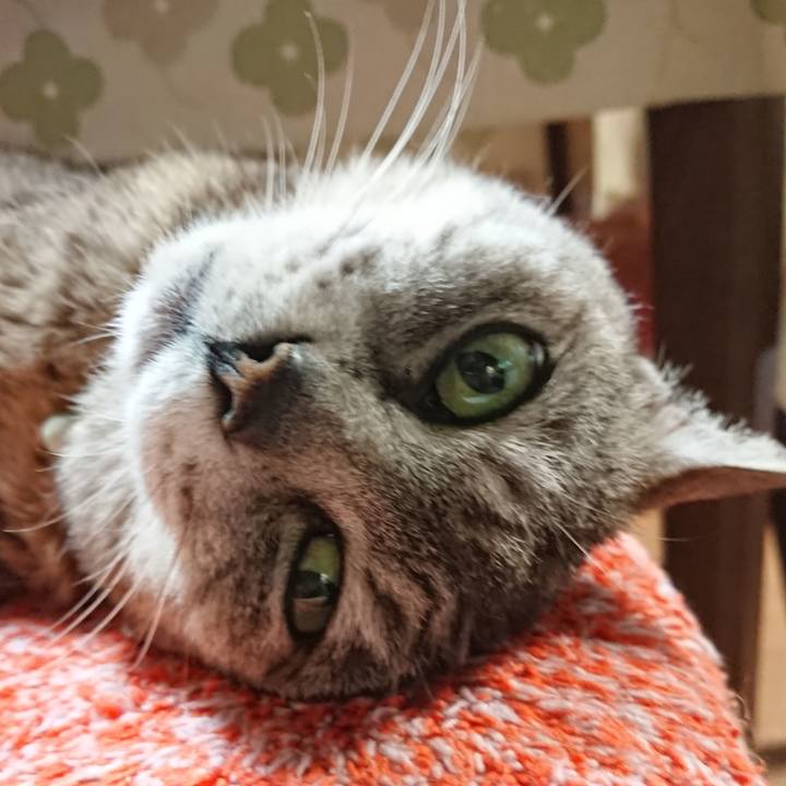 02ffdb3d d4b6 4030 a37d 4620a0303aed 1563534956216