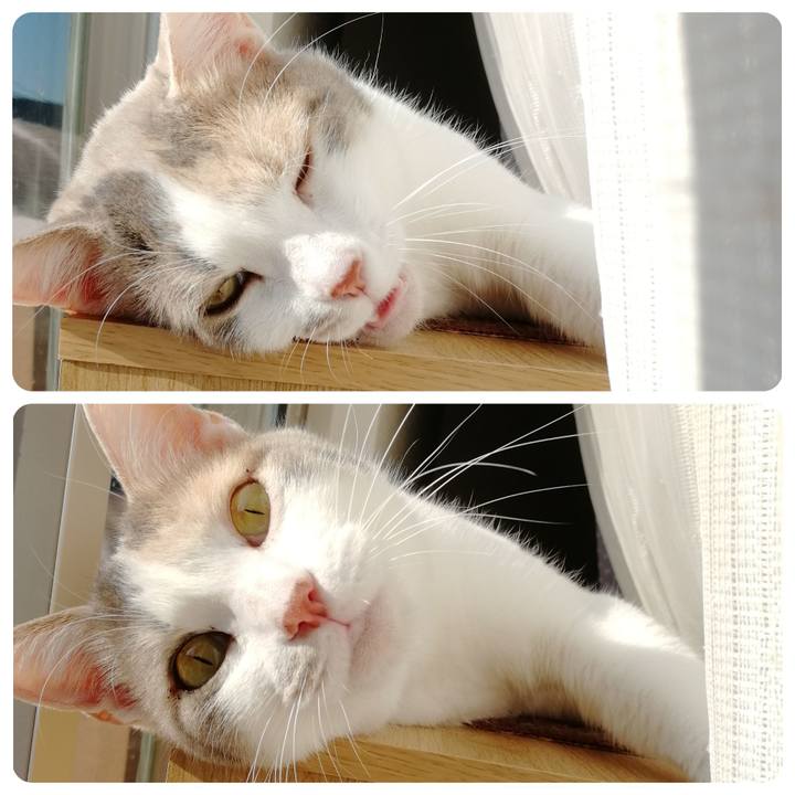 02ffdff7 cb46 4770 b702 edccdc075bfc 1584956161935