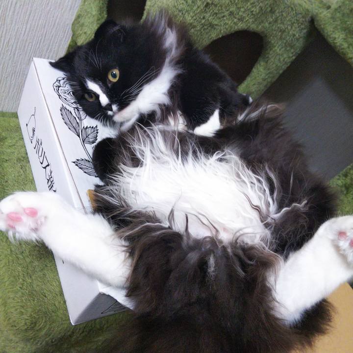 03001385 529d 4fc1 9510 3c5a76b53a0d 1654432059922