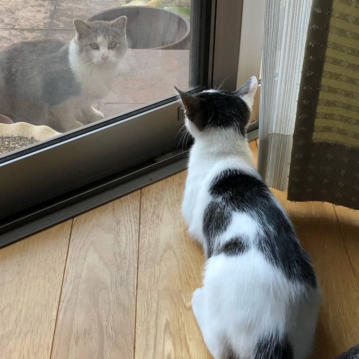 03004622 93b7 4e55 a70e dbb2f131f92f 1570576318133