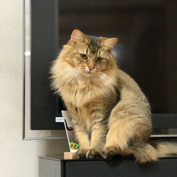 03004884 41f5 4eb7 8c99 746dd45adf0e 1756248429674