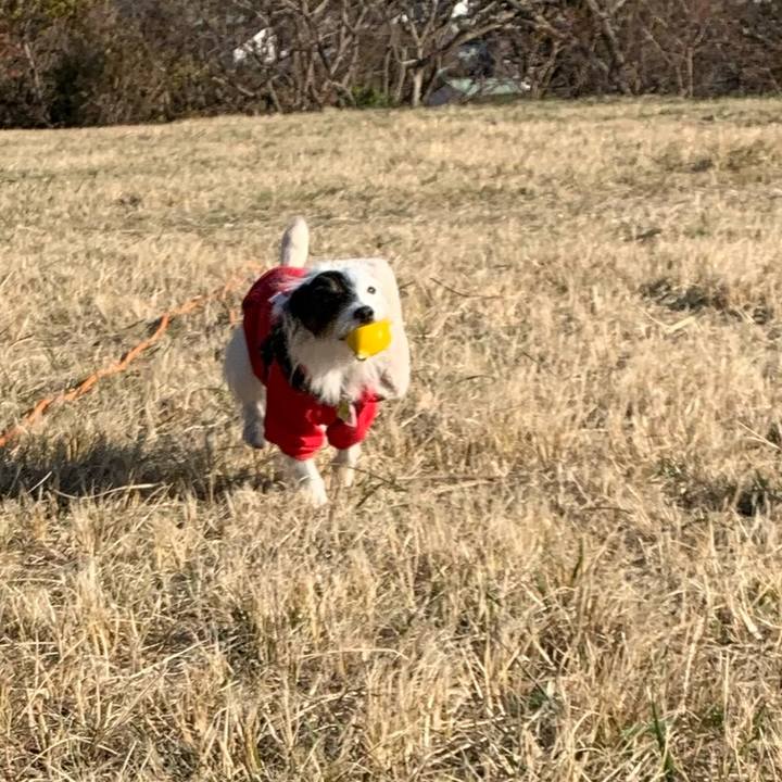 030054c1 ce94 4e95 a63e 09300022d961 1671067810363