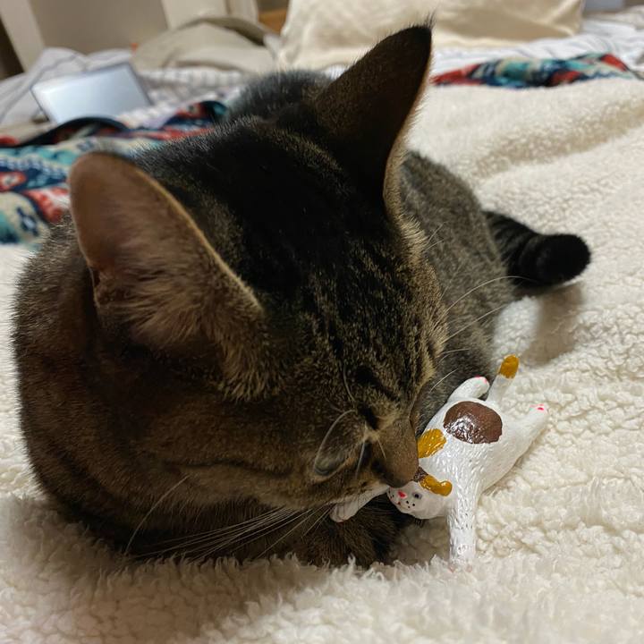 0300695e d60a 4287 923c 3a993a1597d7 1766158155859