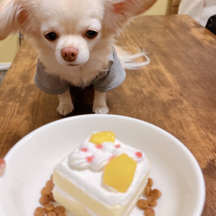 030074d3 c6af 4f2e 8714 d4e54ed97af1 1682850783965