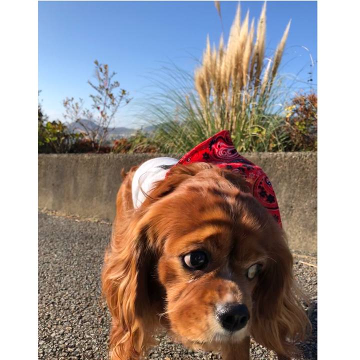 03007d66 ebda 4a91 96b8 75d47cd0927b 1637627588136