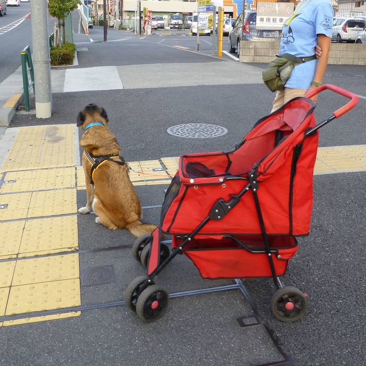 03007ff6 fae3 4993 a95e d97ff755d8d2 1580518624250