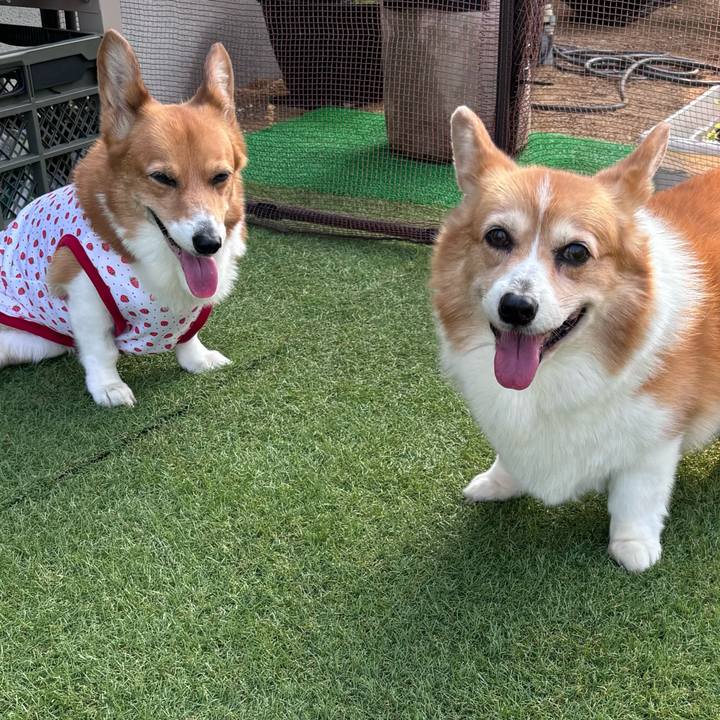 0300a3fc efcf 4625 8302 e0daa46731a2 1752014480012