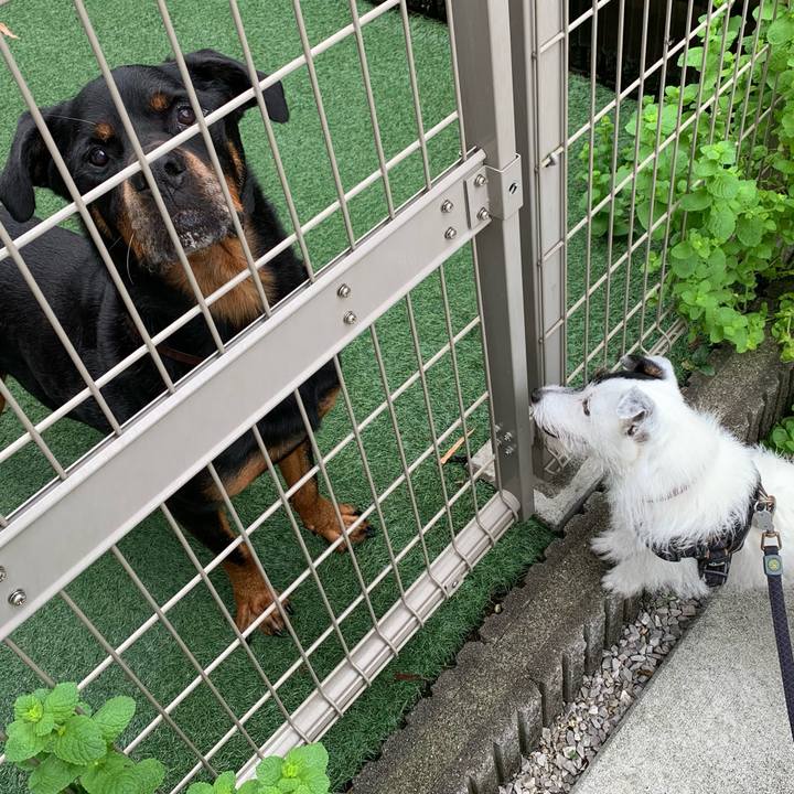 0300e56c 5d16 41ed 9531 0067ae2df7f5 1752621032549