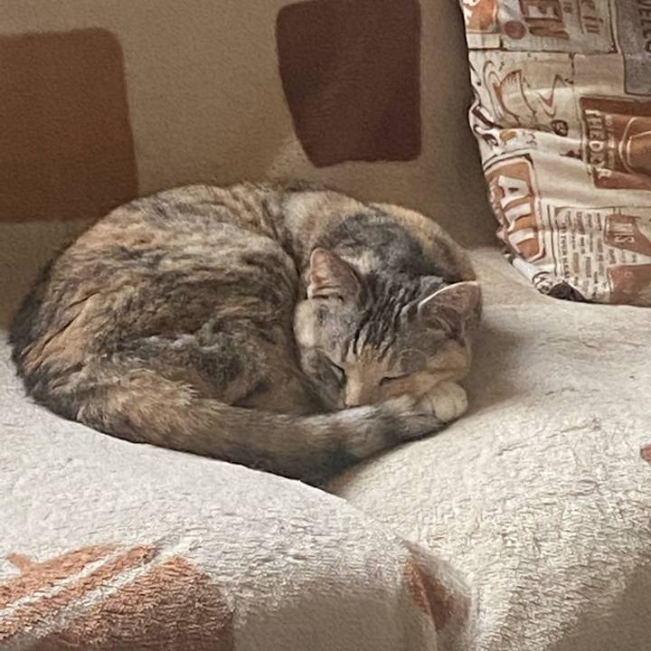 03013d92 3351 40a0 b61a 675e08420a38 1683150444179