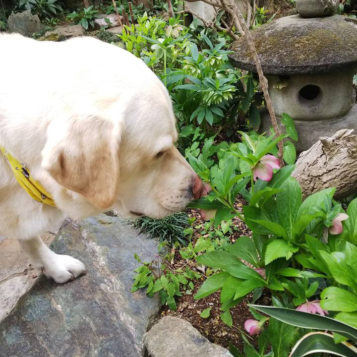 03014ef1 2777 494b a370 32e734a97f5f 1555037646112