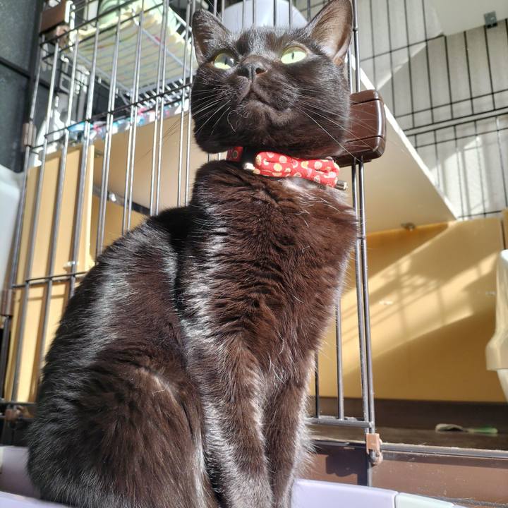 030189a0 7911 4c74 a6bc 82a63675d1e8 1646874320023