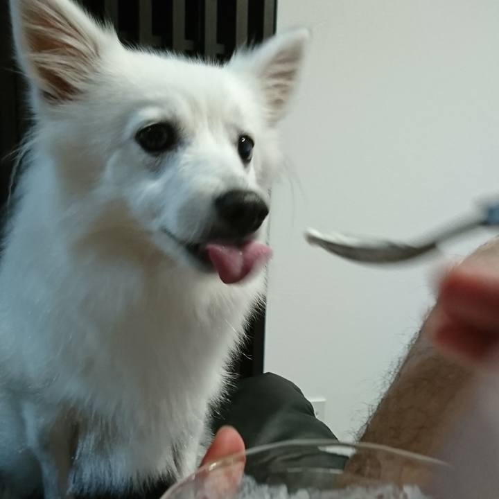 03018b46 09c8 4a80 8b62 5795e98a92d4 1537368804551