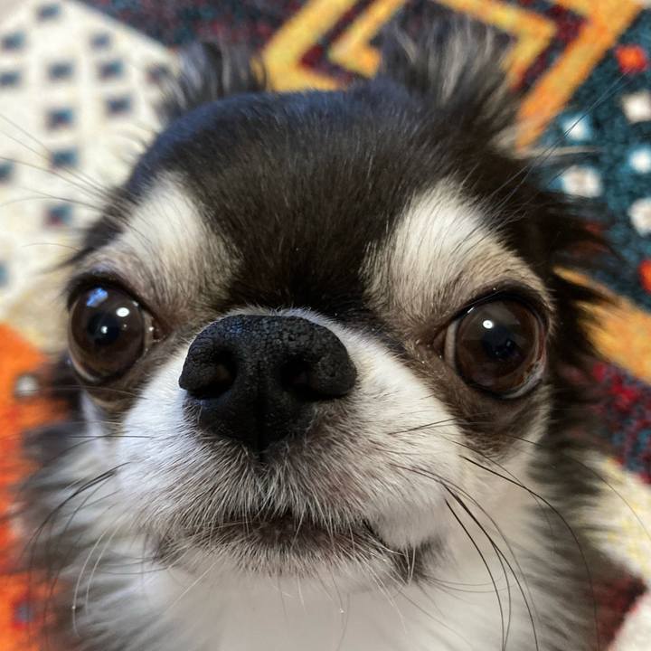 03019e3c 4d2e 467b 9bf4 97c5226ab7c0 1700263131510