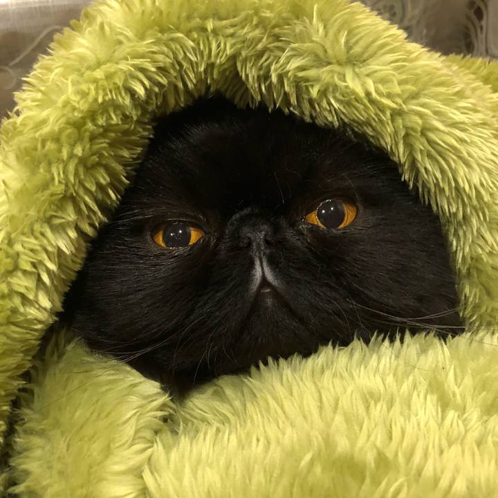 0301b00a 0808 49d4 a9f9 5278ecafa340 1540647584582