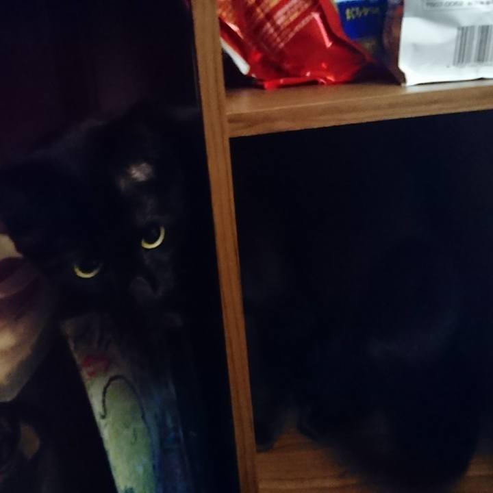 0302247b 80cb 4476 9e49 2ea1b8c51d78 1623796177542