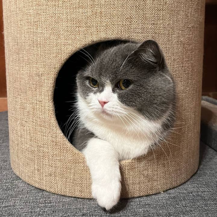 0302416e d4fb 4bb2 b233 a1dd88f3dc89 1682939973542